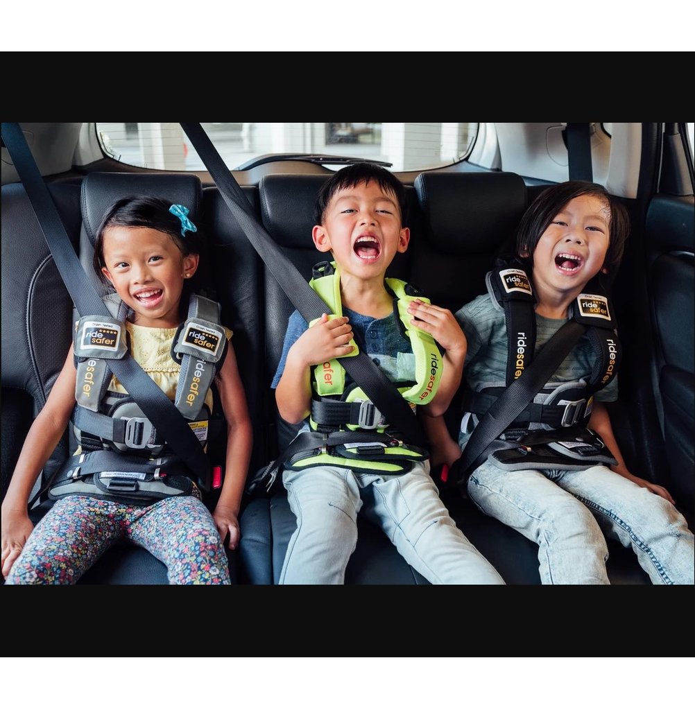 RideSafer Travel Vest DELIGHT (GEN5) Peek Concepts