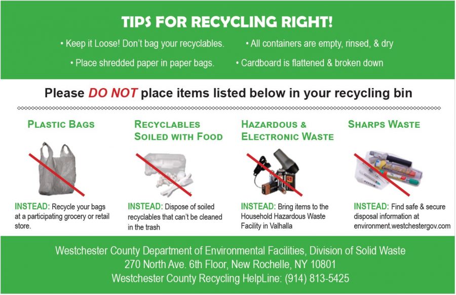 Beyond the Blue Bin The Secret Life of Recycling in Peekskill