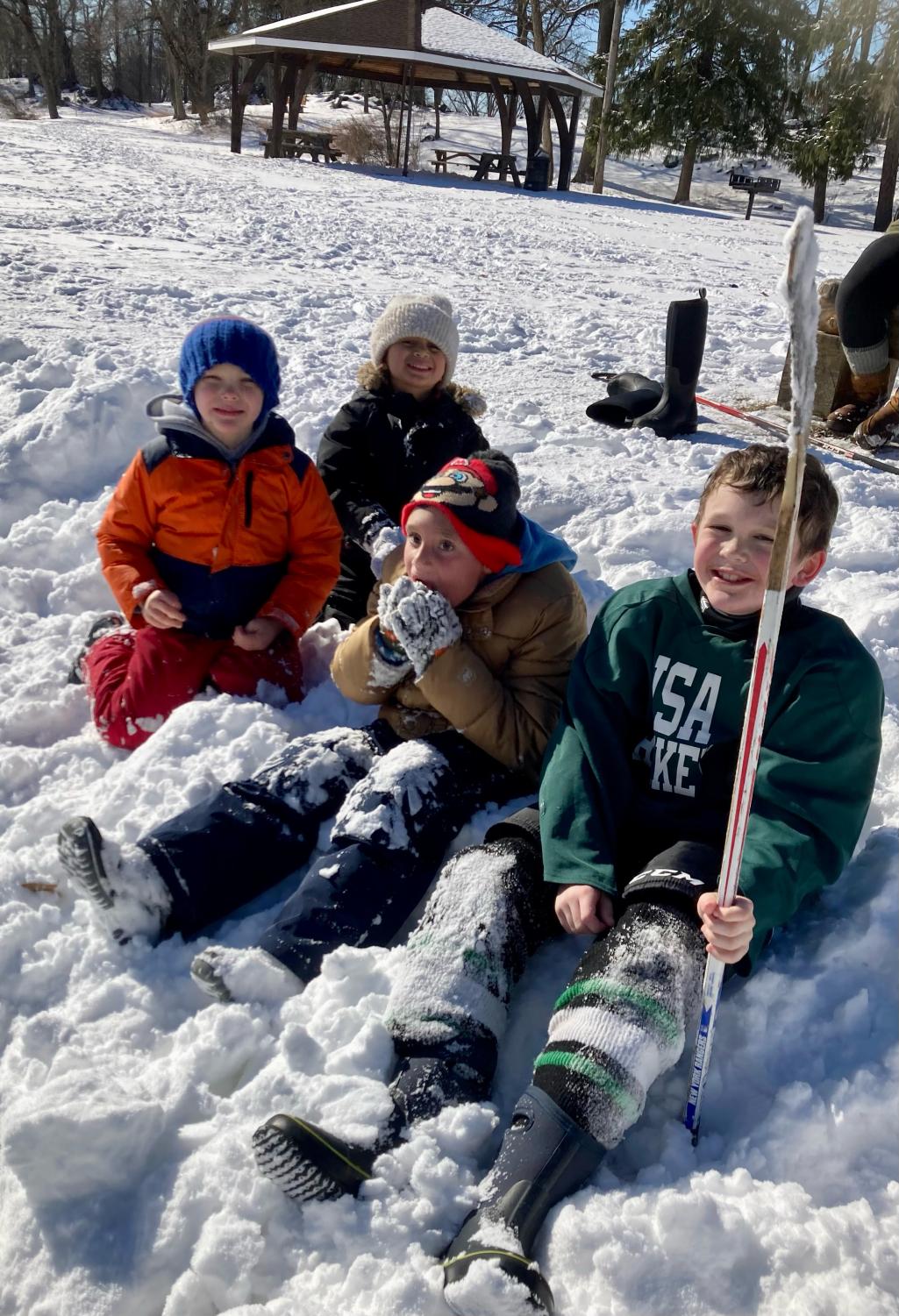 Ice Skating on Lake Mitchell Leads to New Facebook Group Peekskill Herald