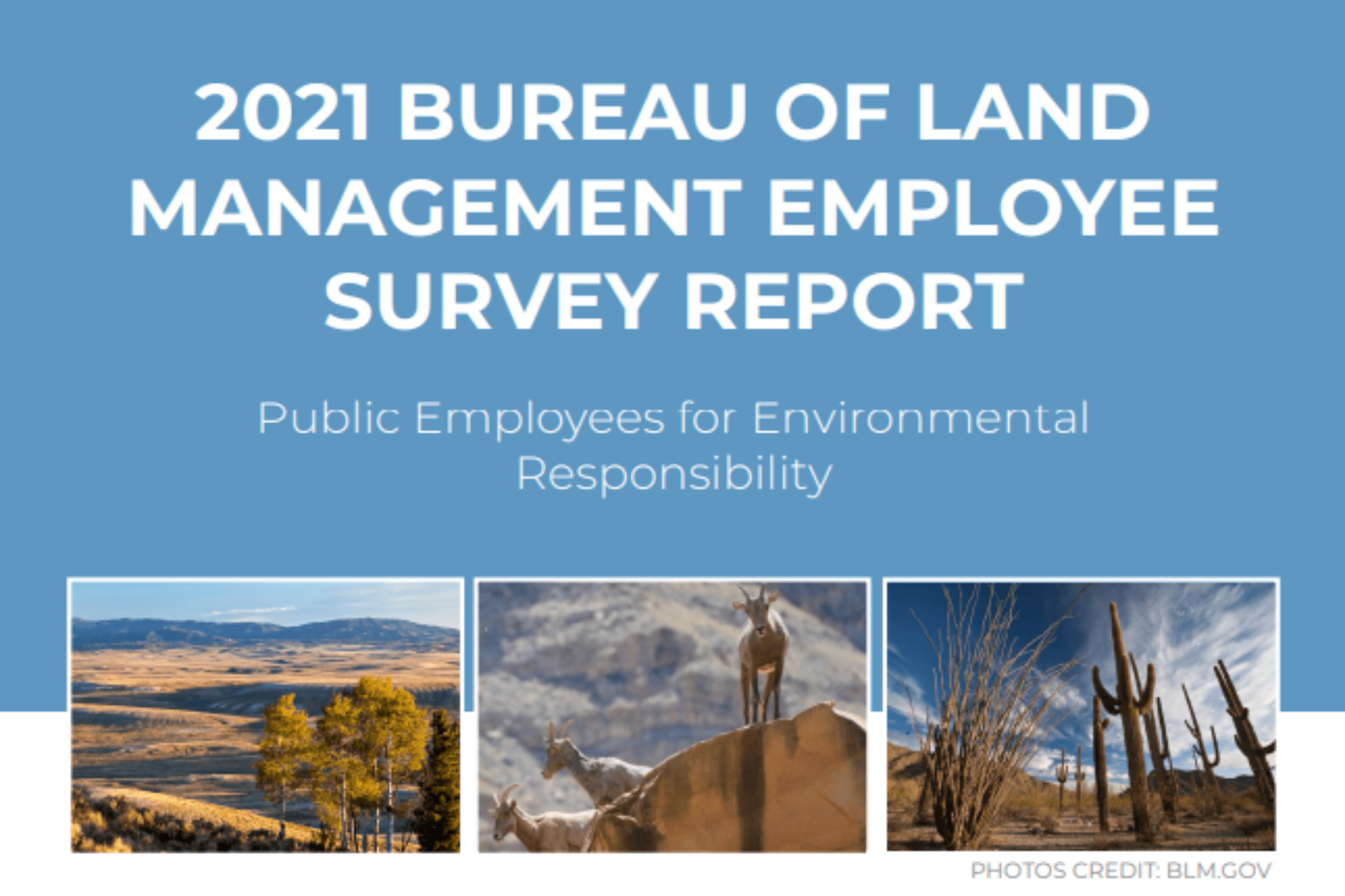 Report 2021 Bureau of Land Management Employee Survey