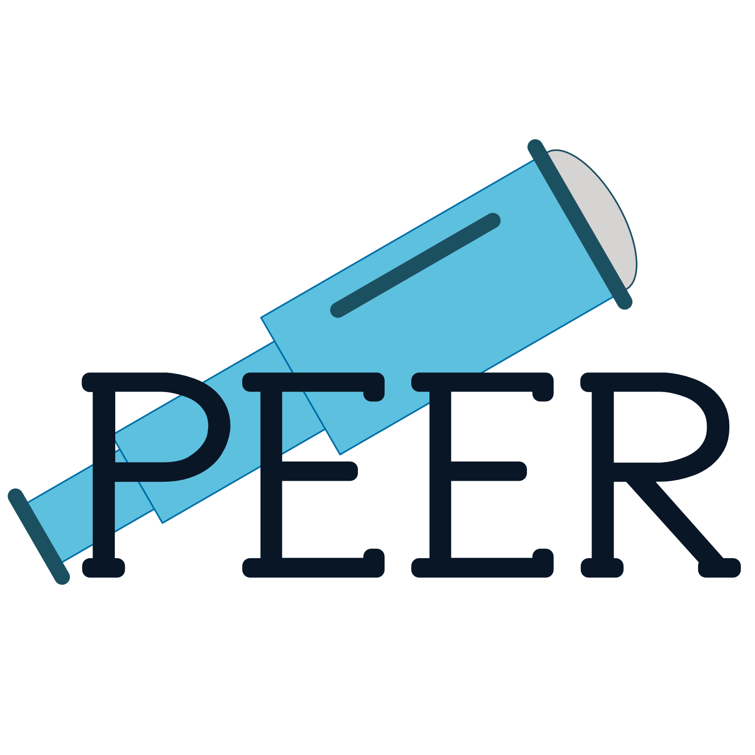 PEER Institute