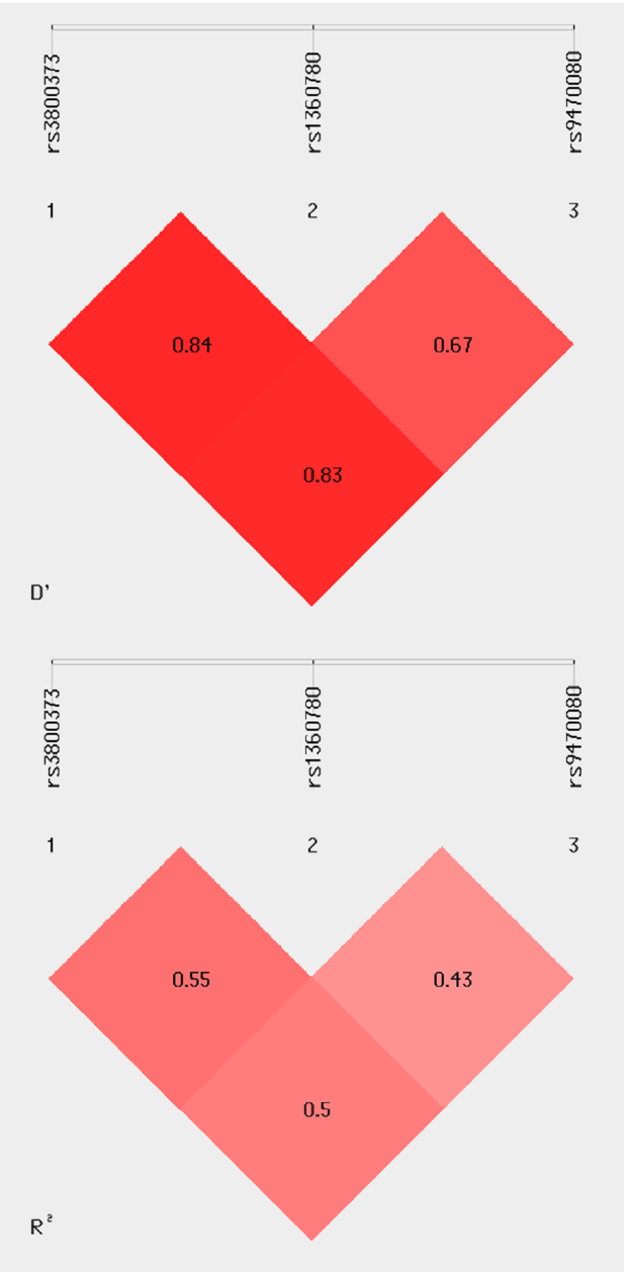 Association of job stress, FK506 binding protein 51 (FKBP5) gene