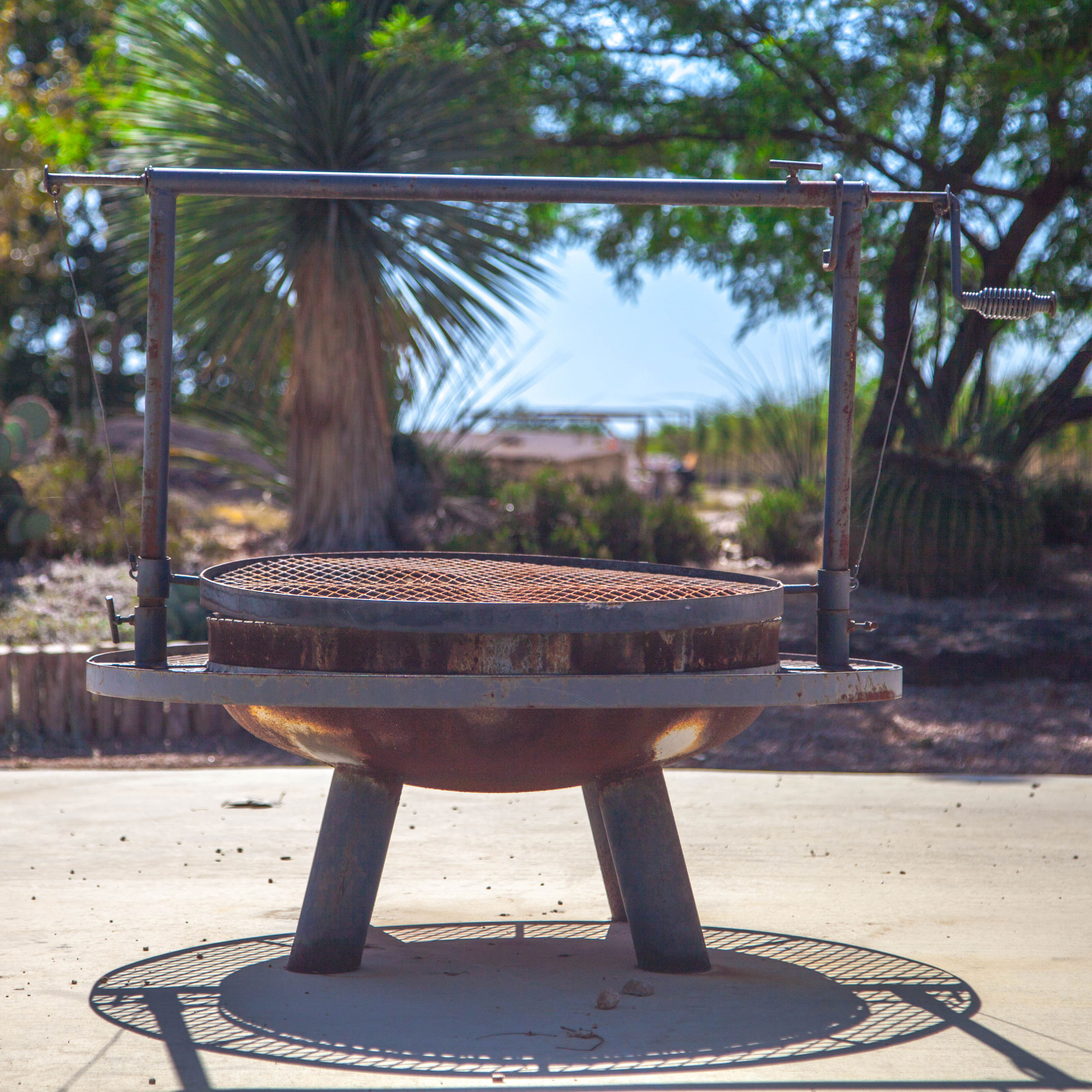 Gallery Peerless Tree Farm