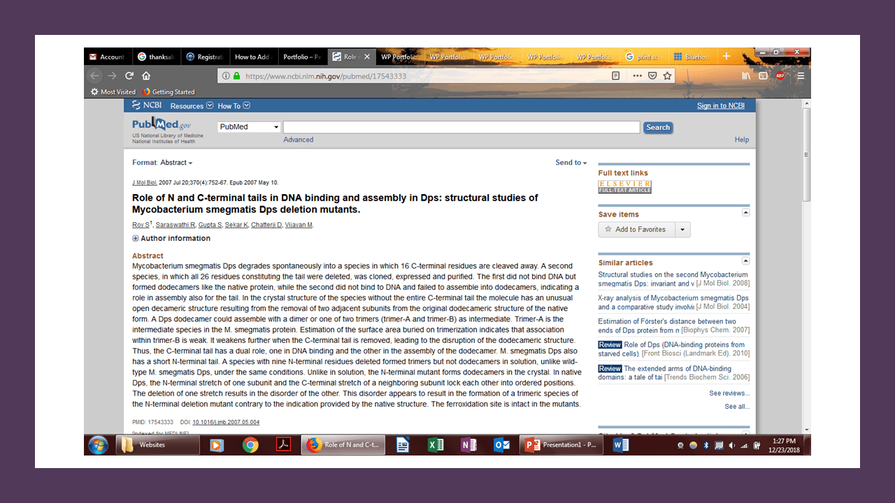 Portfolio Peerless Reviews