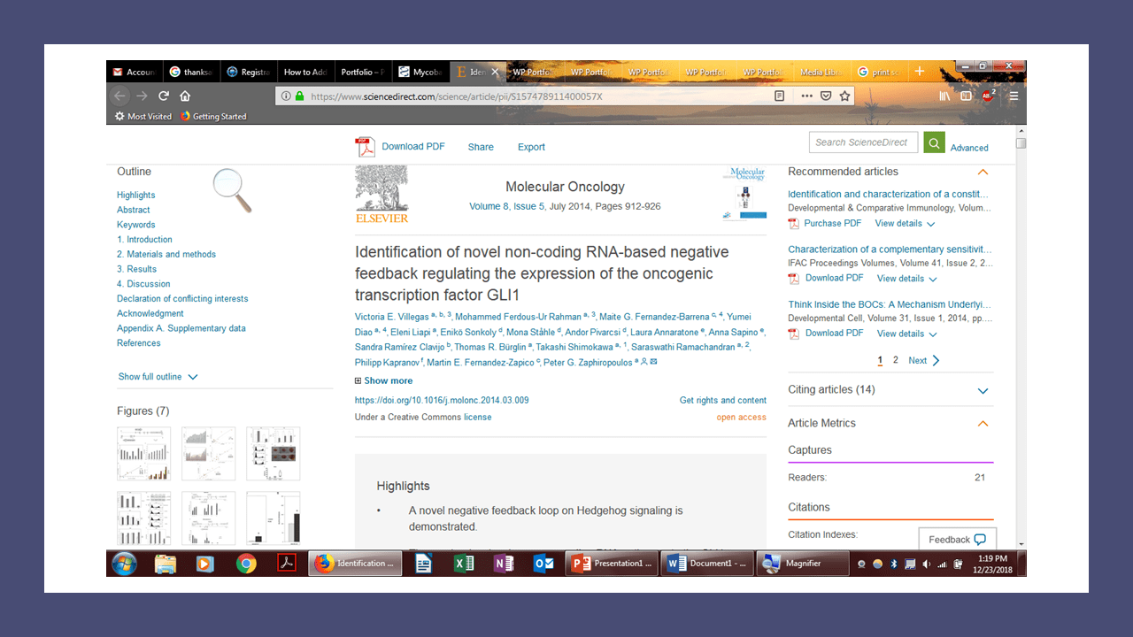 Portfolio Peerless Reviews