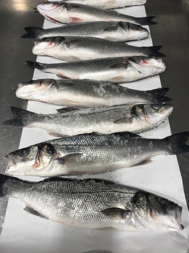 Whole Sea Bass Peets Plaice