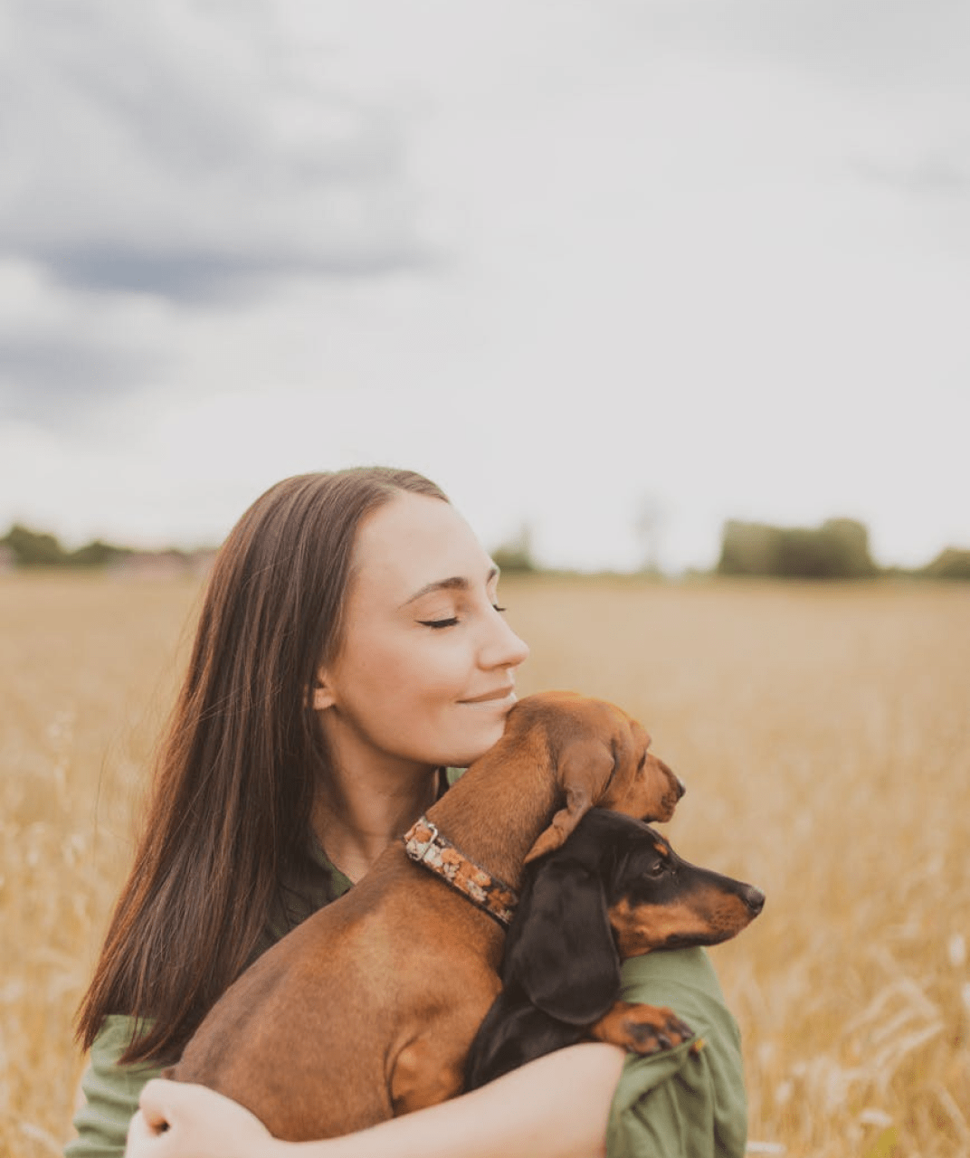 Top Pet Microchip Companies List Discover The Best