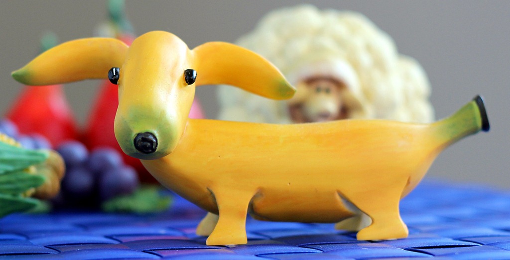 BANANA DOG Peewee's blog