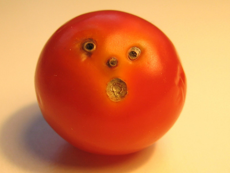 Why was the tomato surprised? Peewee's blog