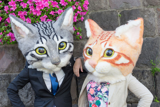 Giant Realistic Cat Heads from Japan!! Peewee's blog