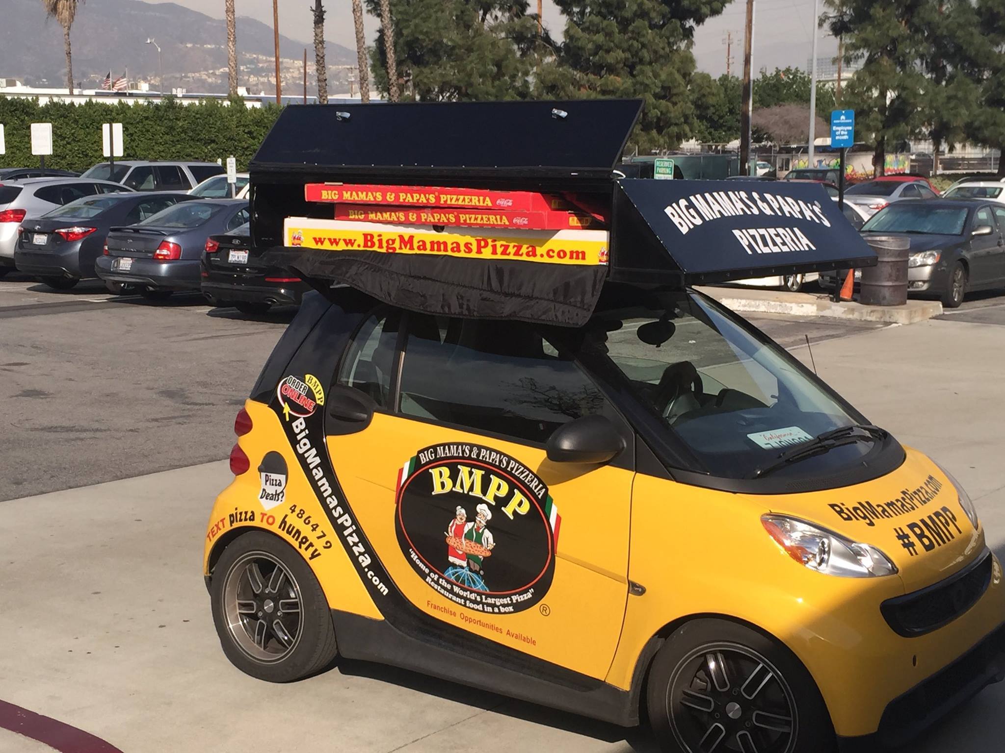 Check out the world's largest deliverable PIZZA!! Peewee's blog