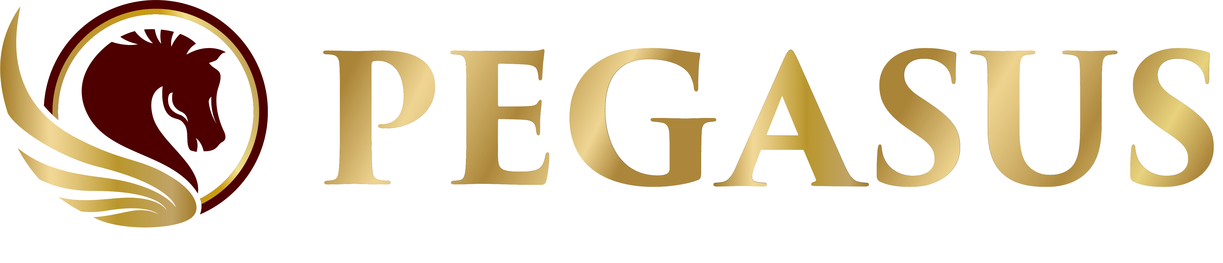 究極のフェイシャルケア ICE RFフェイシャル PEGASUS (ペガサス) 宮古島