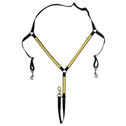 Flasher Two Tone Nylon Buxton Pegasus Distributing Inc.