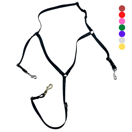 Flasher Beta Buxton Martingale Pegasus Distributing Inc.