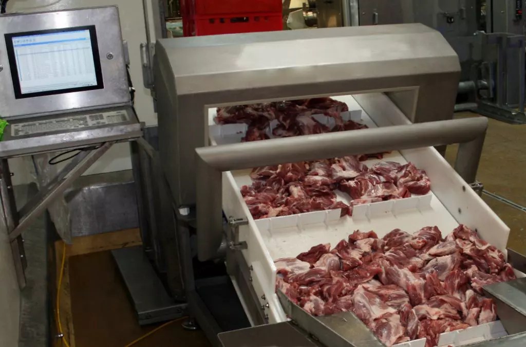 Stainless Steel Conveyors Pegasus Industronics