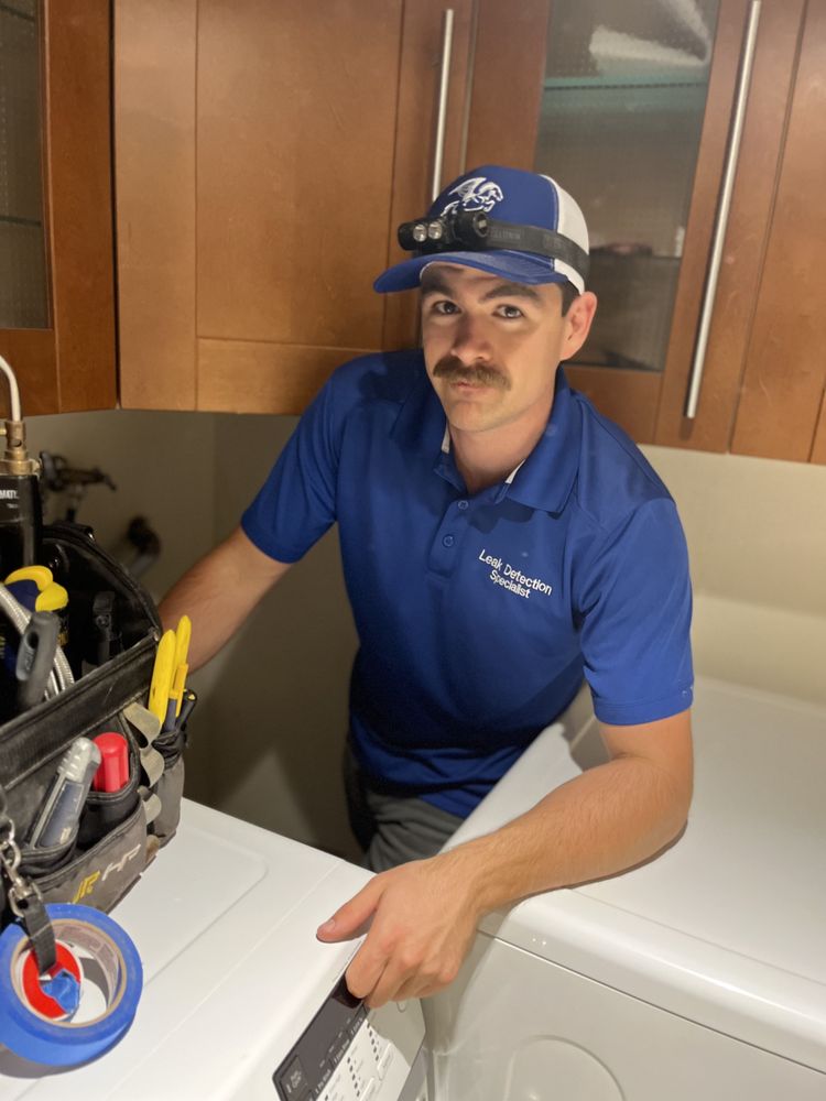 Restoration - Pegasus Leak Detection