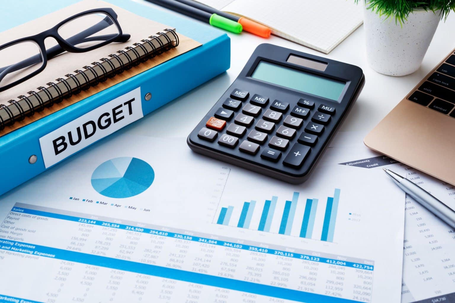 The Definitive Guide to Careful IT Budgeting and Planning Pegasus