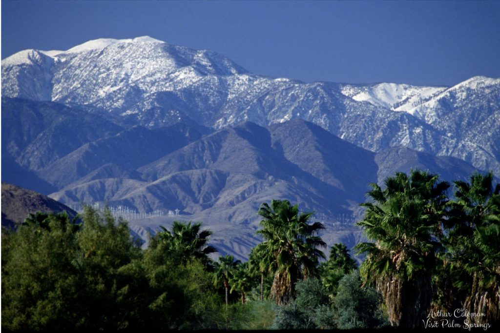 Quintessential Palm Springs Pegasus Travel Advisors