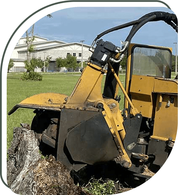 Pegram Tree Service Clients Commercial Clients