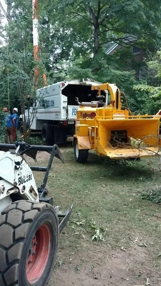 Pegram Tree Service Gallery Commercial Clients