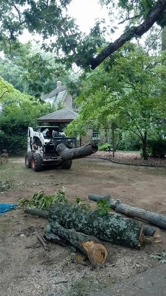 Pegram Tree Service Gallery Commercial Clients