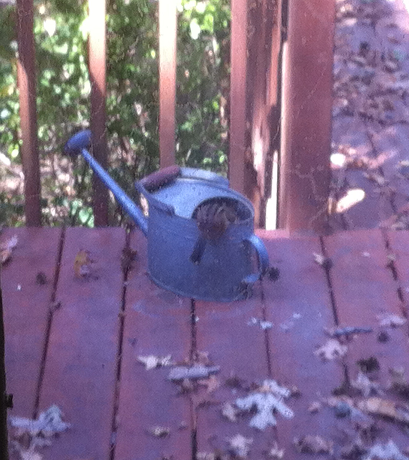 Picture for the wonder is all around.