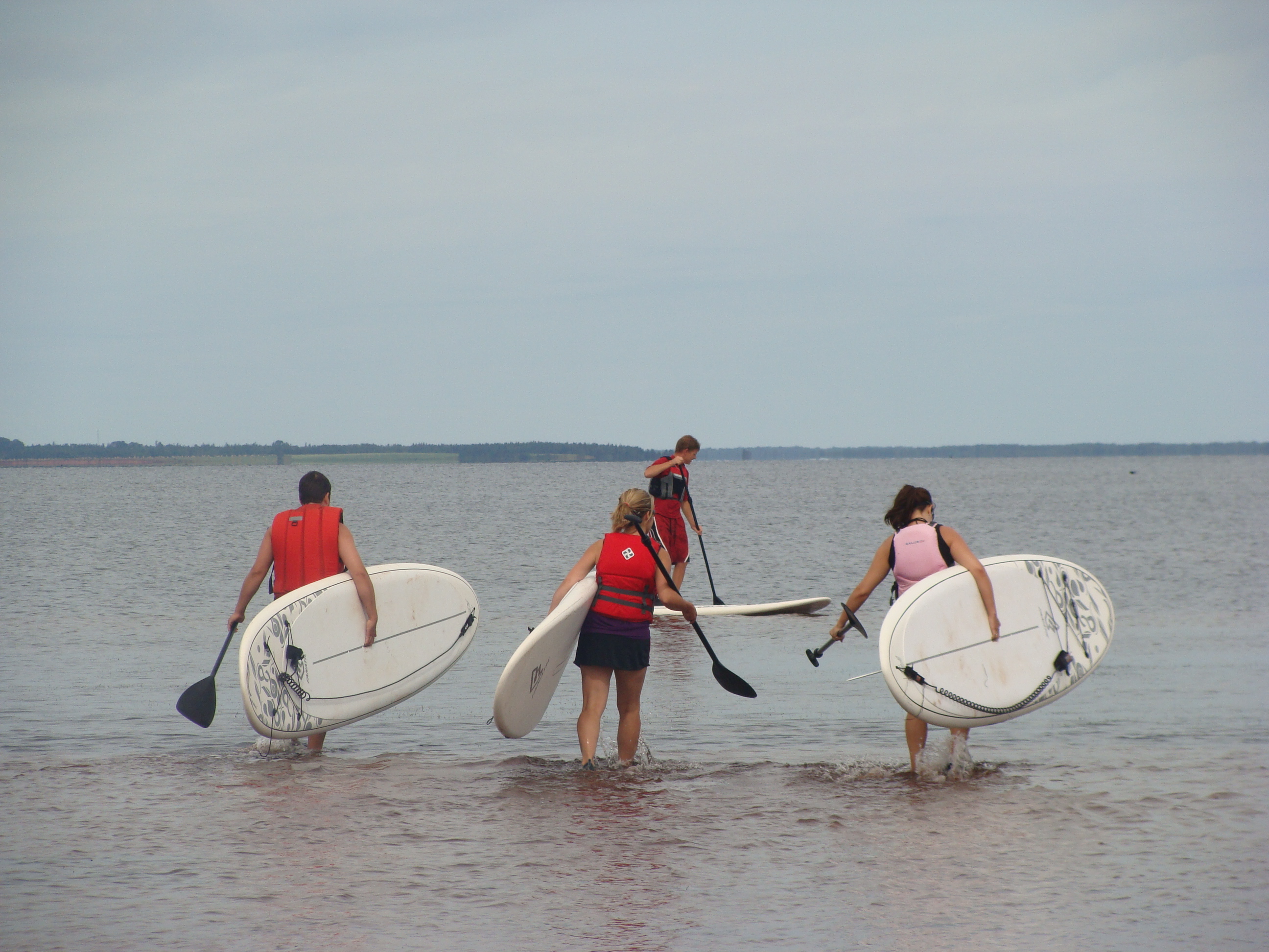 Prince Edward Island, Canada Malpeque Bay Kayak Tours you to