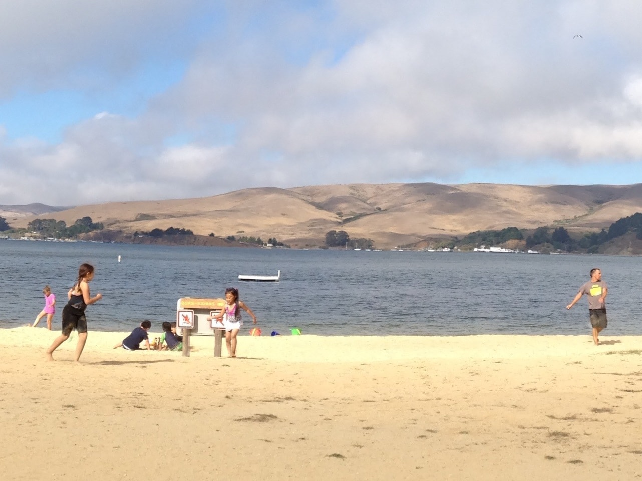 Wade Into the Water at Tomales Bay Beaches Pekex