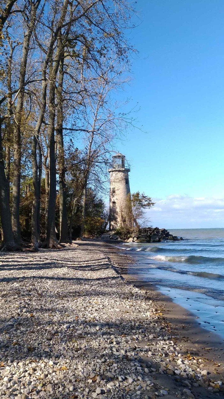 Island Explorer EXPERIENCEAll Afternoon Golf Cart AdventureRental