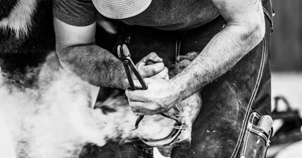 Farriers Pelham Plantation