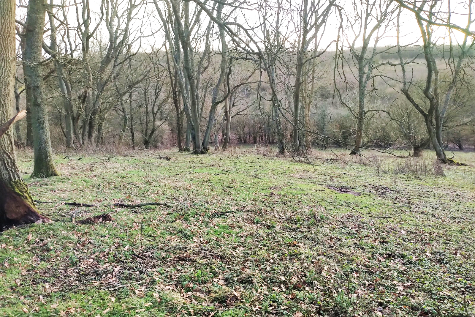 Kent Harrietsham, 10 acres grazing land Now Sold Similar urgently