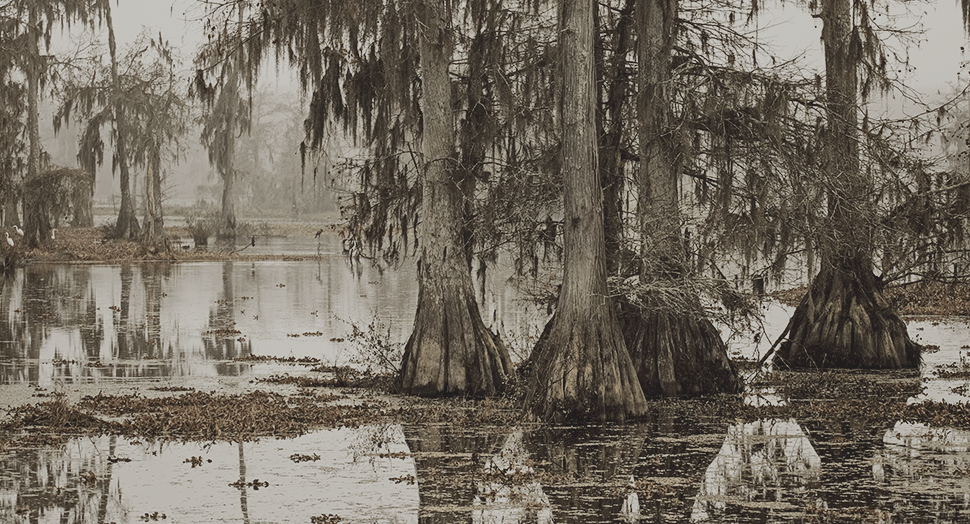 History of the Rougarou Louisiana’s Werewolf