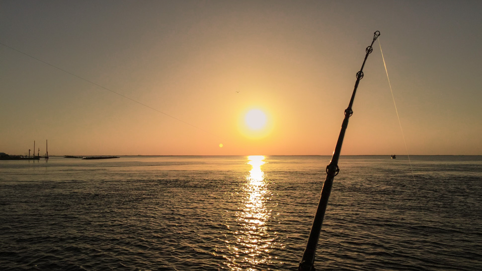 The Best Fishing Spots in Louisiana Sportsman’s Paradise