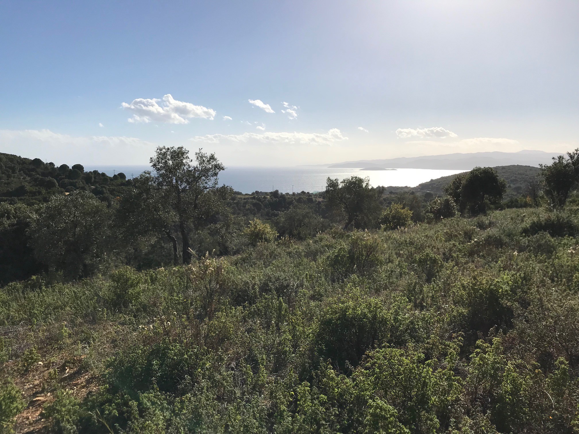 PELIONESTATES Real Estate in GREECE on the Pelion, Skiathos, and the