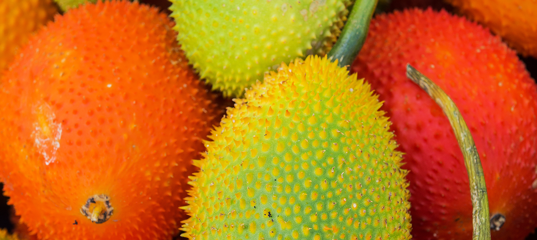 Bitter Orange Essential Oil is used in natural skin care products for