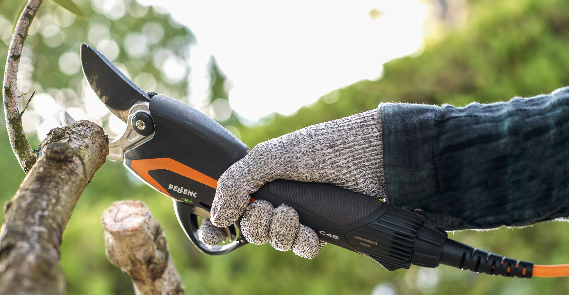 Tree Pruning Shears C45 Pellenc USA