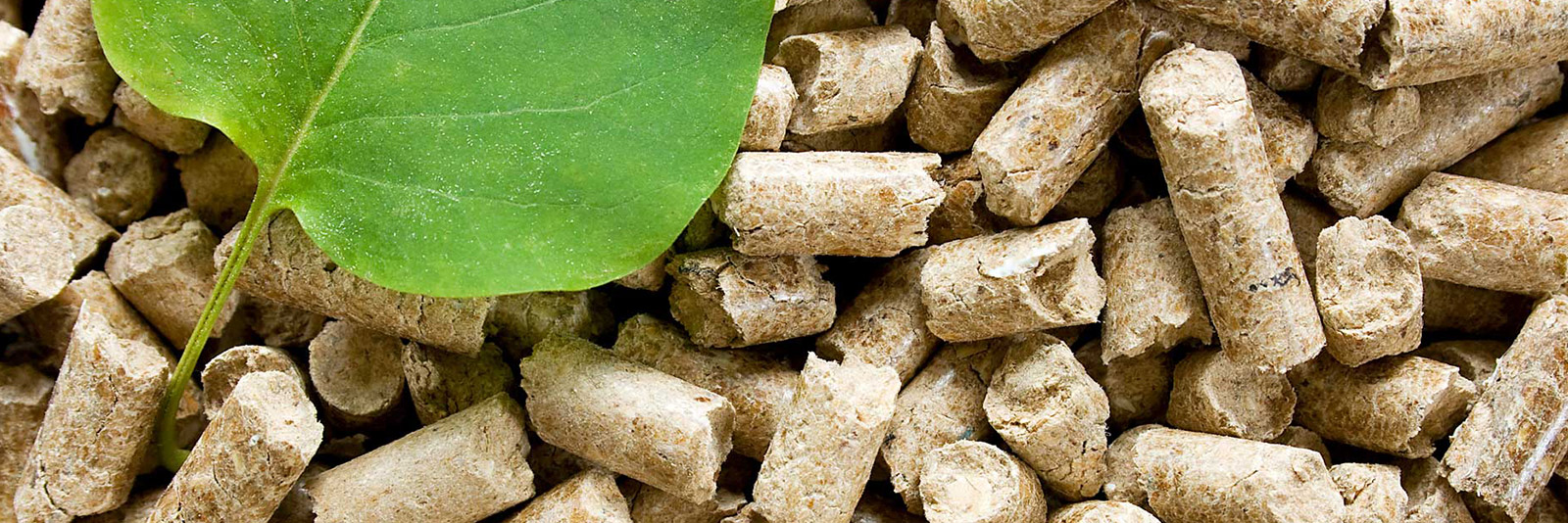 Energy pellets d.o.o. Proizvodnja proizvoda od drva, proizvoda od