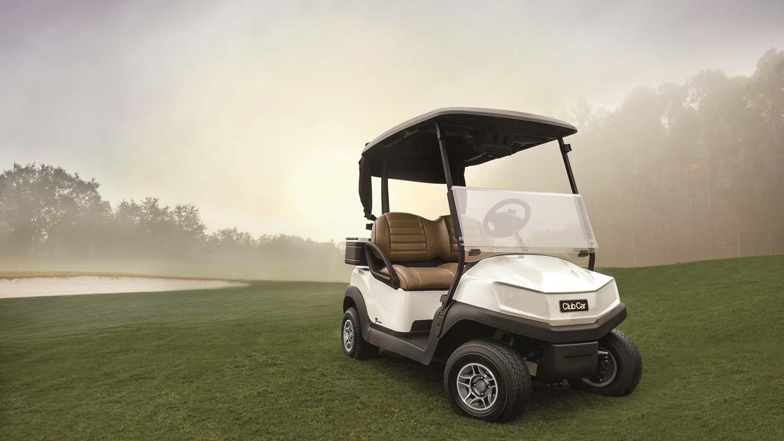 2022 Club Car Tempo Electric Golf Cart Pellows