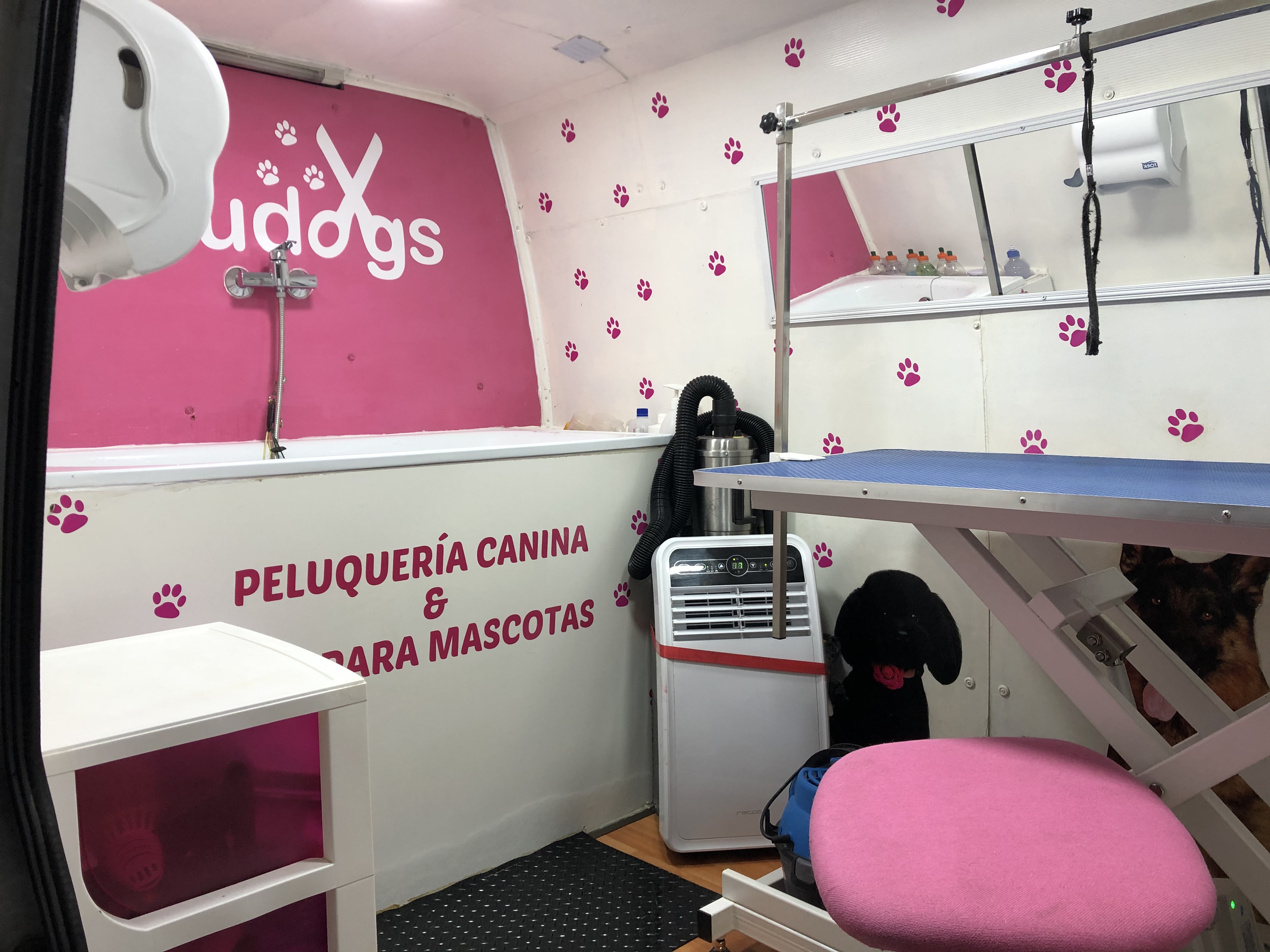 Conoce Peludogs Peluquería y SPA para Mascotas Premium Canina Felina en