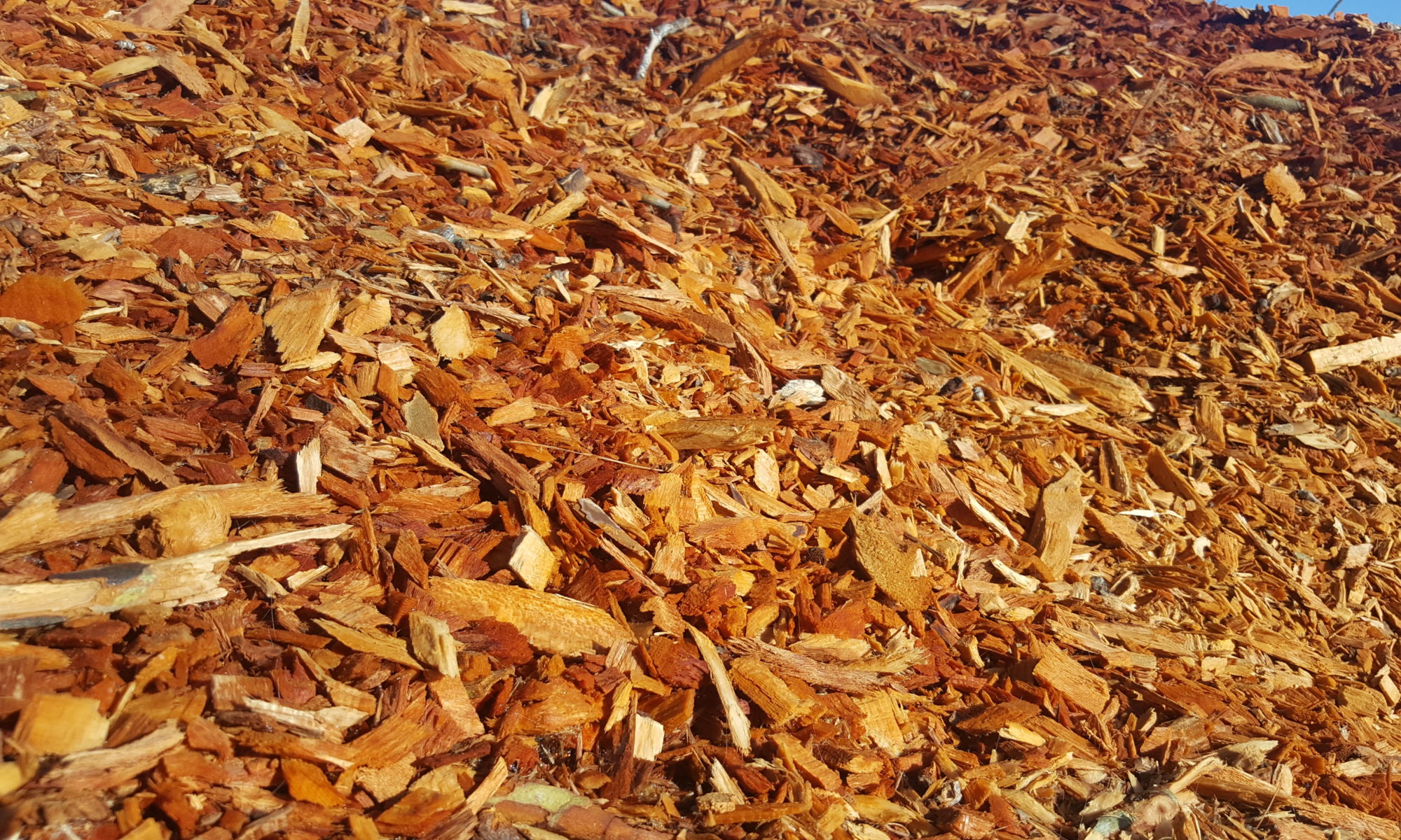 Raw Wood Chips Pemberley Farm