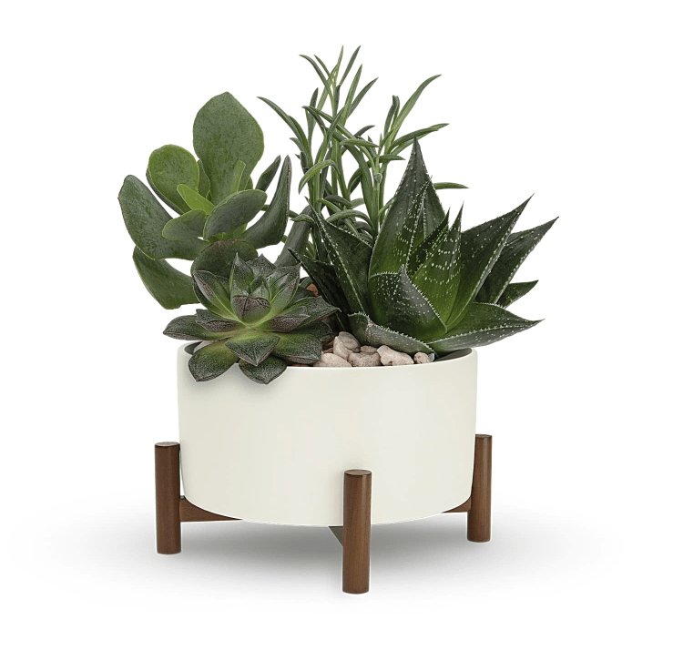 MidCentury Garden Flower Shop in Salem Oregon