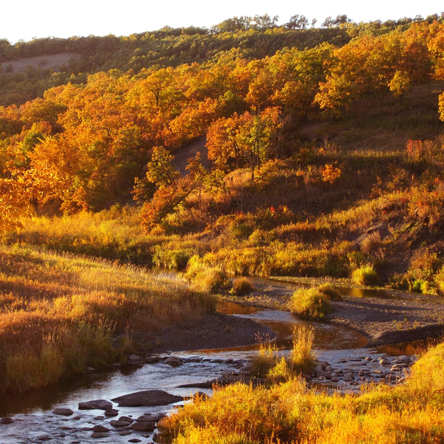 Pembina County, ND Cities