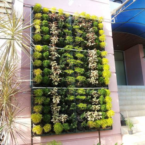 Taman Vertikal | Pembuatan Taman
