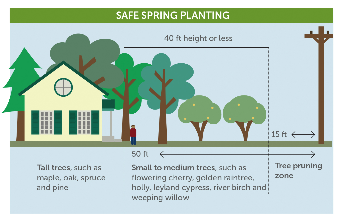 Piedmont Electric Spring Planting Guide with Mike Johnson