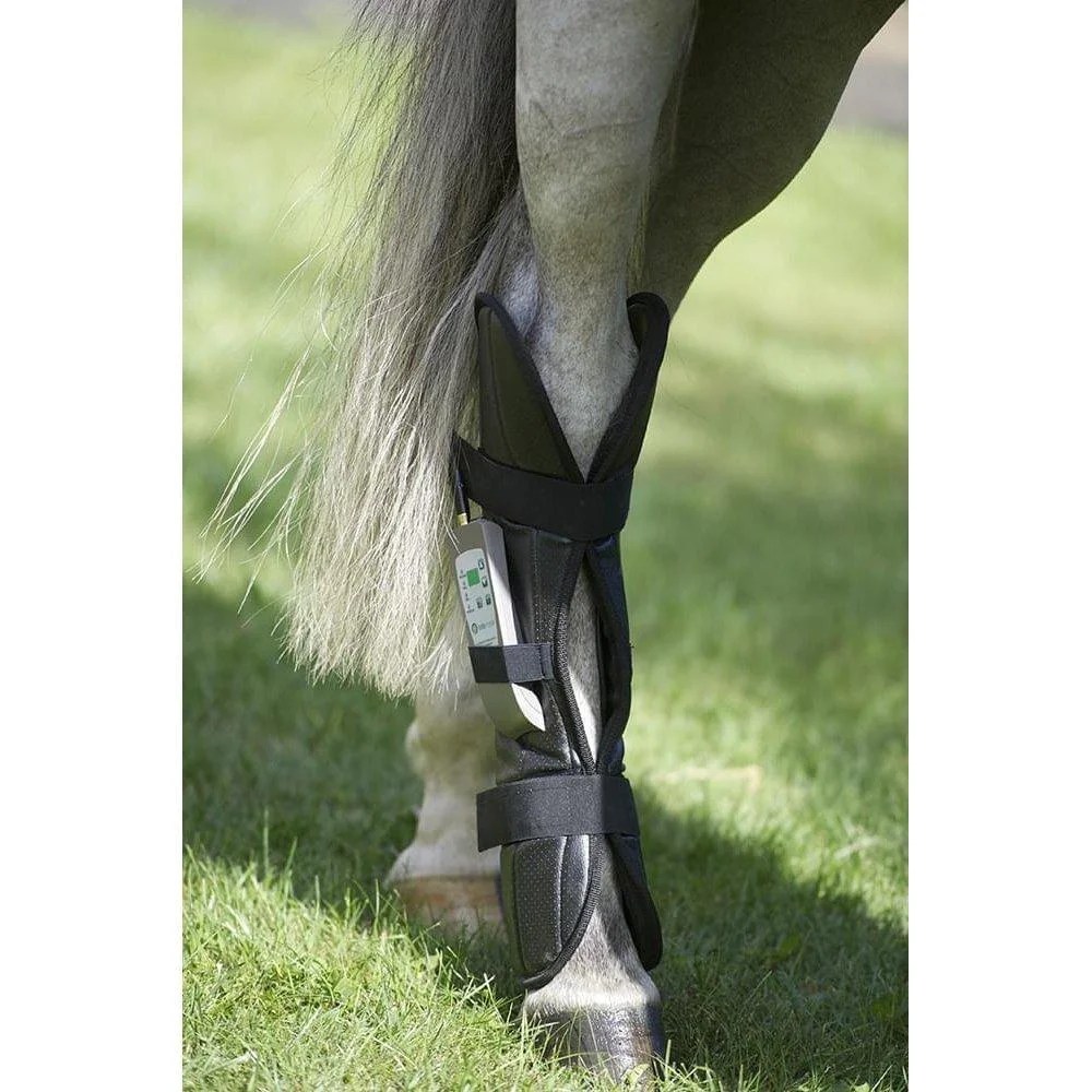 OMI Equine PEMF therapy system Reviews, Features & Order Online on