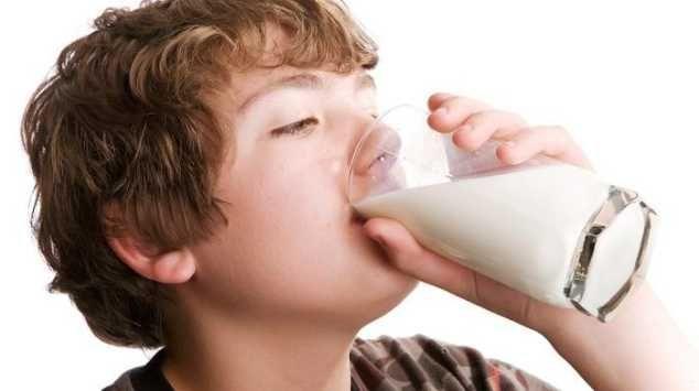 minum susu sapi sehat
