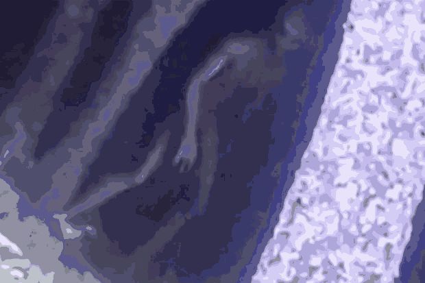 Sosok Alien di Hutan