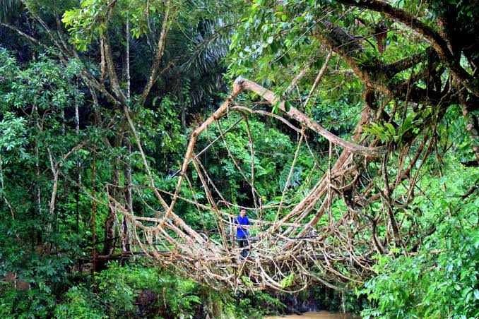 Desa Baduy luar