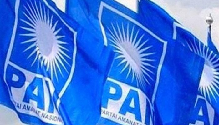 bendum dpp pan