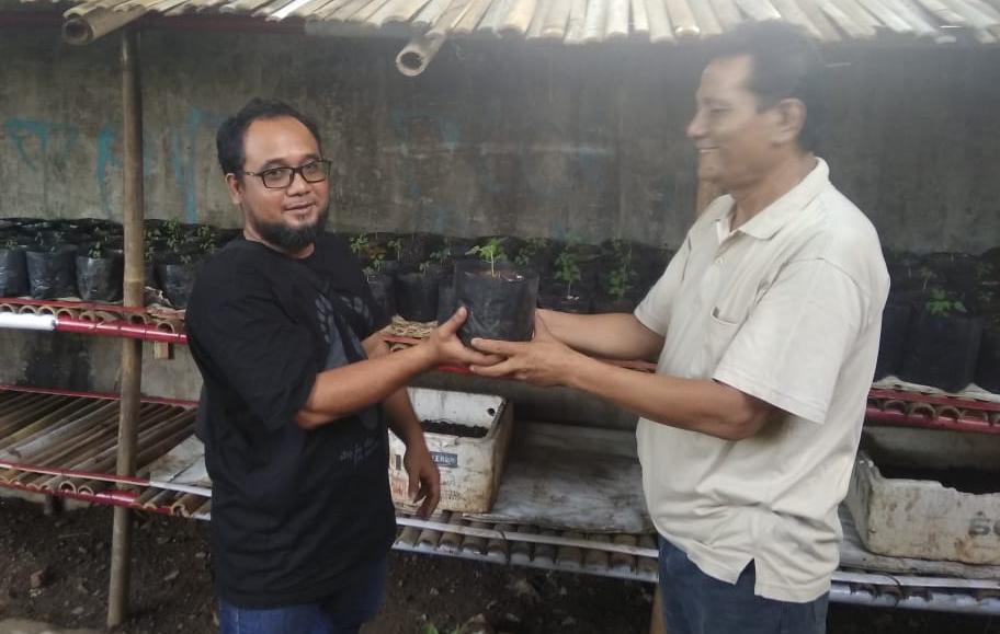 program penghijauan